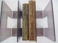 世界文學全集　第20巻　ボヷリイ夫人　女の一生