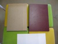 Newton　ワールドアトラス