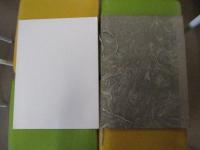 安井曾太郎　素描　淡彩集