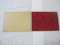 空からの水郷長島