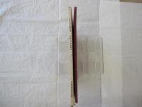 空からの水郷長島