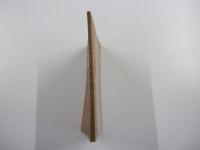 ダーウィンの家　百花文庫