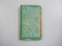 続　野外観察用　鳥類図鑑