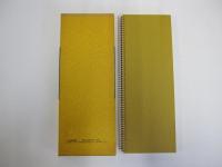 拡大法書選集　集字聖教序　二