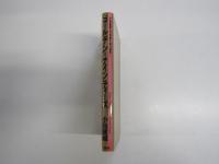 ゴールデン・ナインティーズ　今世紀最大の消費文明の到来!