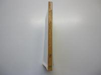 毛沢東伝　岩波新書（青版）