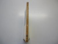 ユダヤ人　岩波新書（青版）