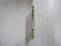 平凡社カラー新書 ドン・キホーテの国