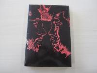 闘論　君は日本をどうするのか