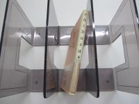 chibusa45人の美しい乳房