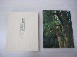 日本の巨木