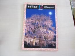 京都花名所　桜