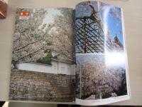 京都花名所　桜