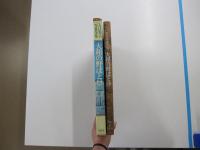 入江泰吉写真全集7　大和の野ぼとけ