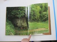 入江泰吉写真全集7　大和の野ぼとけ