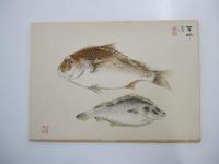 日本南画実習帖　第二巻　魚介篇
