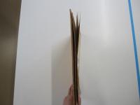 日本南画実習帖　第一巻　蔬菜篇
