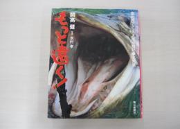 もっと遠く！　南北両アメリカ大陸縦断記　北米篇