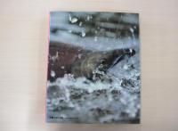 もっと遠く！　南北両アメリカ大陸縦断記　北米篇