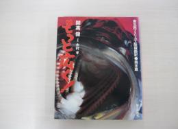 もっと広く！南北両アメリカ大陸縦断記 南米篇