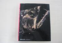 もっと広く！南北両アメリカ大陸縦断記 南米篇