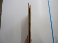 日本南画実習帖　第四巻　果実篇