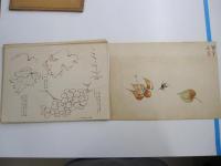 日本南画実習帖　第四巻　果実篇