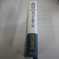 落日の王子　蘇我入鹿
