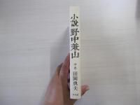 小説野中兼山　中巻