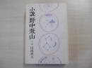 小説　野中兼山　下巻（全3巻）
　