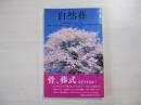 仏教　別冊7