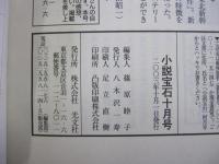 小説宝石
