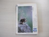 新潮45
