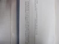 人間の條件　第３巻