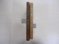 児童・青少年法講座　第4巻　児童保護