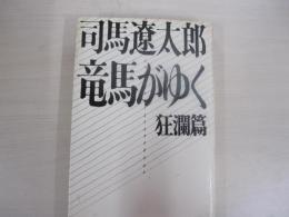 竜馬がゆく　狂瀾篇