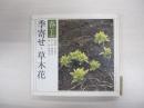 季寄せ　草木花　〔春・上〕