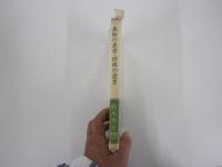 森林の思考・砂漠の思考