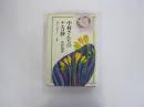 中村さんちのチエコ抄　娘メイコ、孫カンナ・・・と私