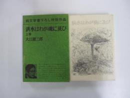 洪水はわが魂に及び　上巻