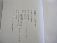 玉菨鎮石　山中智恵子歌集