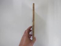 尾張の名城　犬山城と名古屋城