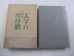 文学の青春期