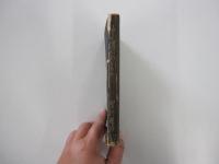 神の懐にあるもの