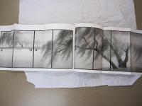 東山魁夷　第二期唐招堤寺御影堂障壁画　限定版