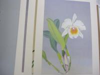 蘭花譜　第二集