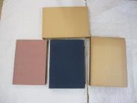 佐藤大寛墨彩画集