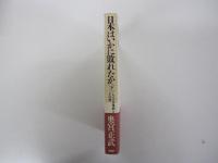 日本はいかに敗れたか　レイテ沖海戦とその後　［下］