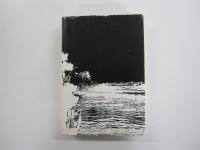 海軍戦闘機隊　4　日米対決