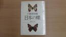 検索図鑑 日本の蝶